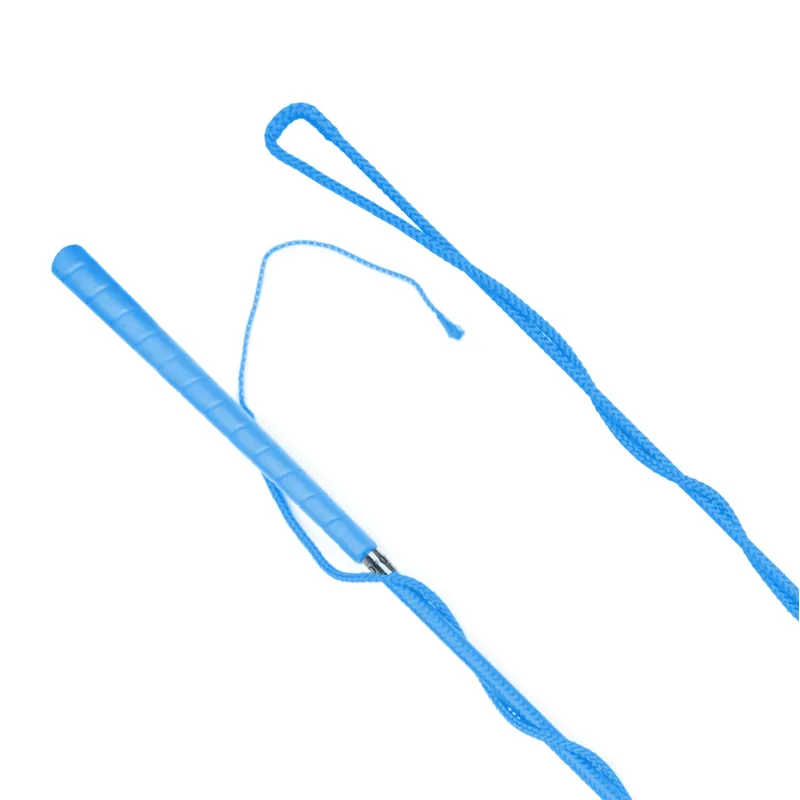 Redpost County Lunge Whip - Royal